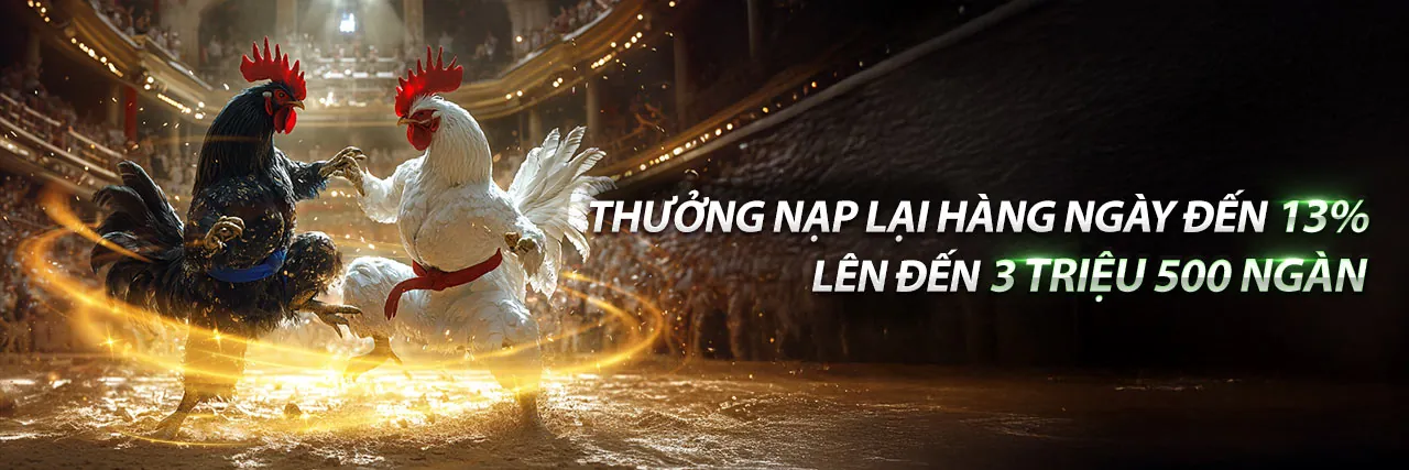 Sân đá gà sôi động tại 66f tải ứng dụng